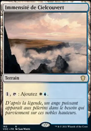 Immensité de Cielcouvert