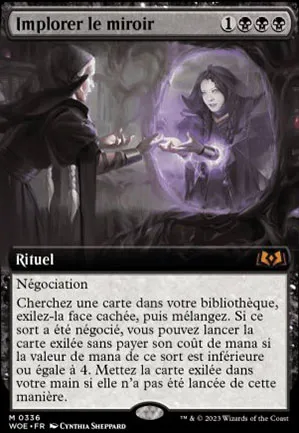 Implorer le miroir