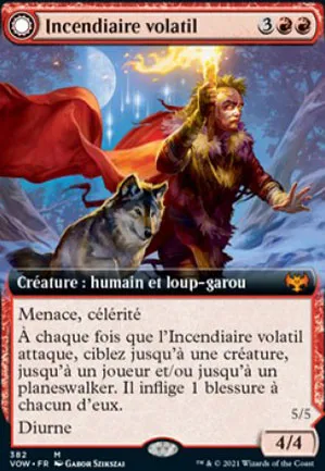 Incendiaire volatil // Anarchiste Noiresouche