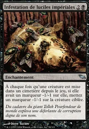 Infestation de luciles impériales