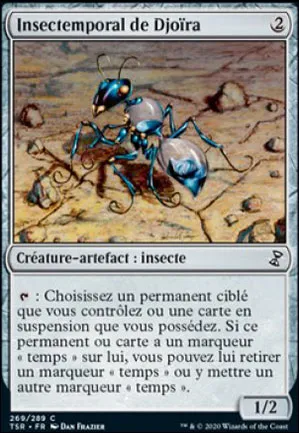 Insectemporal de Djoïra