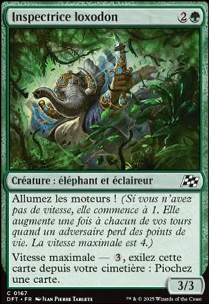 Inspectrice loxodon