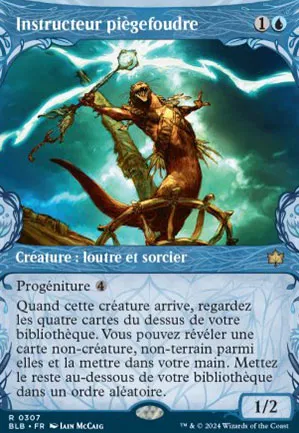 Instructeur piègefoudre