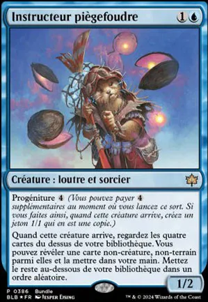 Instructeur piègefoudre