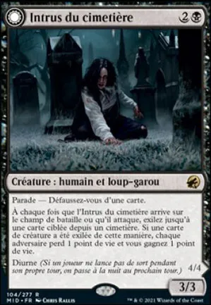 Intrus du cimetière // Goinfre du cimetière