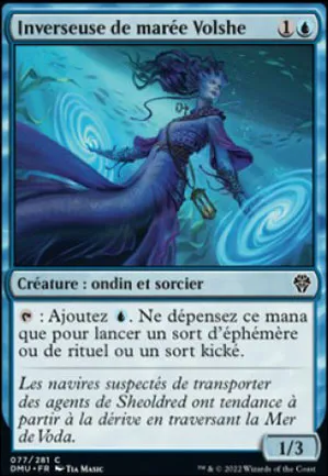 Inverseuse de marée Volshe