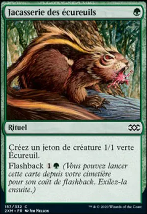 Jacasserie des écureuils