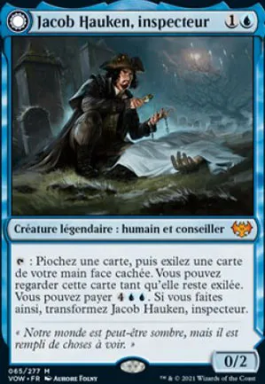 Jacob Hauken, inspecteur // Perspicacité de Hauken