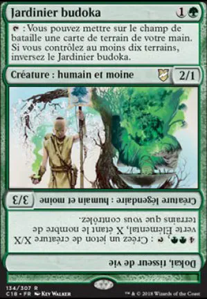 Jardinier budoka // Dokai, tisseur de vie
