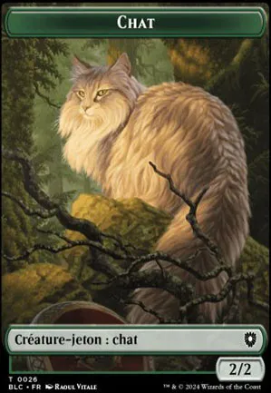 [Jeton] Chat