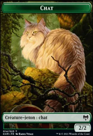 [Jeton] Chat