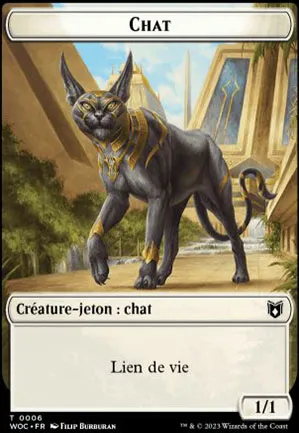 [Jeton] Chat