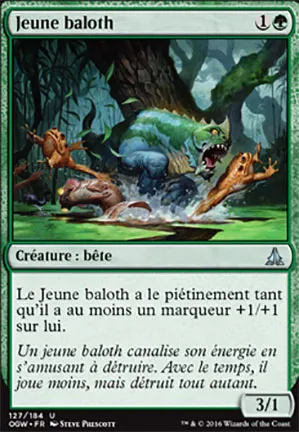 Jeune baloth