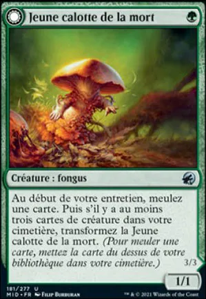 Jeune calotte de la mort // Énorme calotte de la mort