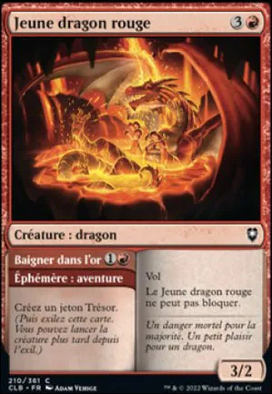 Jeune dragon rouge // Baigner d'ans l'or