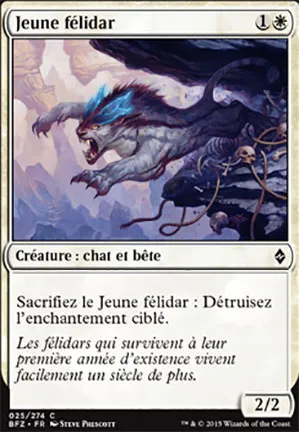 Jeune félidar