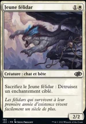Jeune félidar
