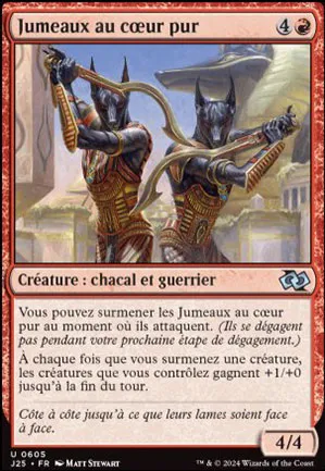 Jumeaux au cœur pur