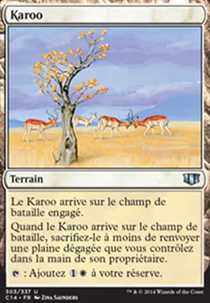 Karroo