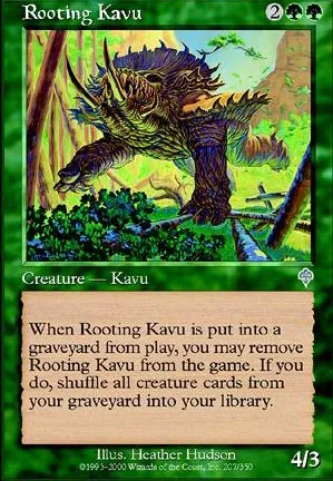 Kavru enracineur