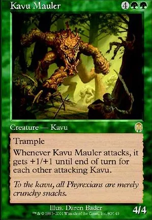 Kavru lacérateur
