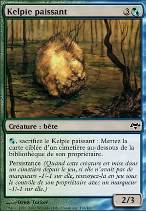 Kelpie paissant