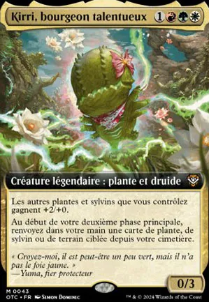 Kirri, bourgeon talentueux