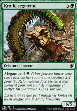 Krotiq segmenté