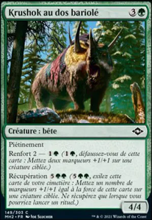 Krushok au dos bariolé
