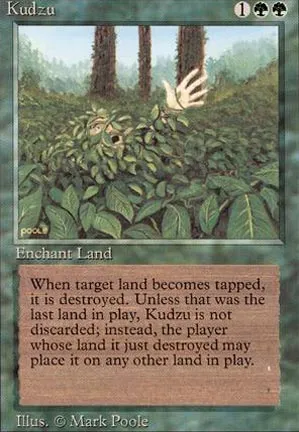 Kudzu