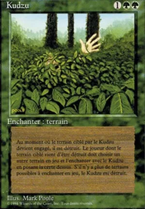 Kudzu