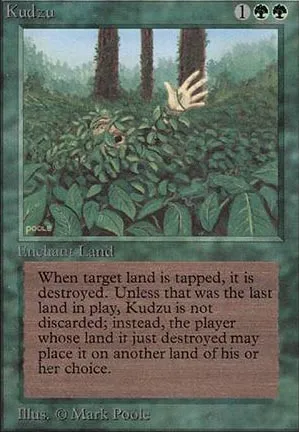 Kudzu