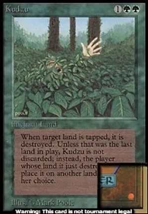 Kudzu