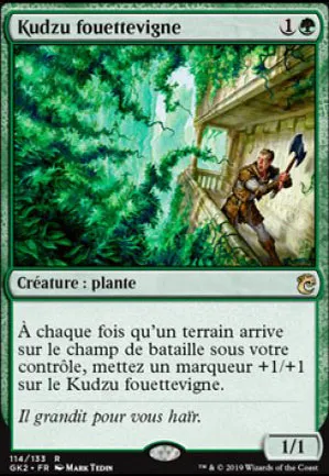 Kudzu fouettevigne