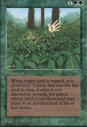 Kudzu
