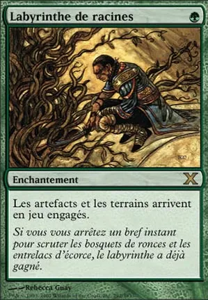 Labyrinthe de racines