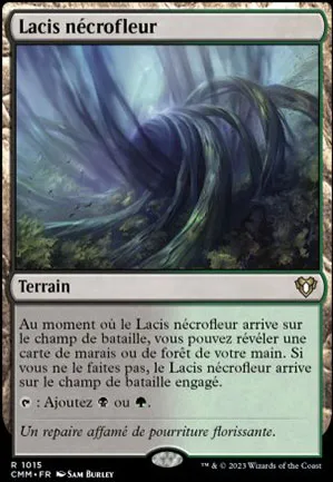 Lacis nécrofleur