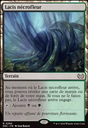 Lacis nécrofleur