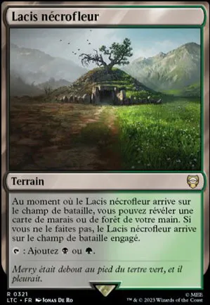 Lacis nécrofleur