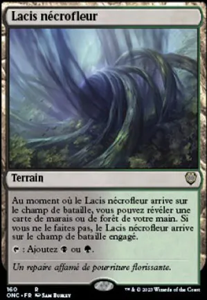 Lacis nécrofleur