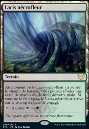 Lacis nécrofleur