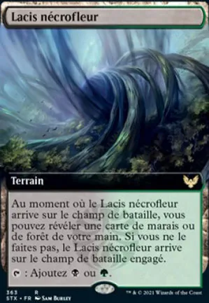 Lacis nécrofleur