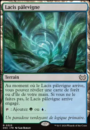 Lacis pâlevigne