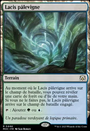 Lacis pâlevigne