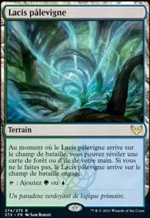 Lacis pâlevigne