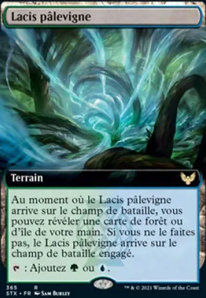 Lacis pâlevigne