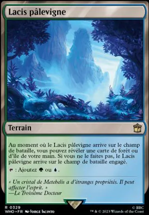 Lacis pâlevigne