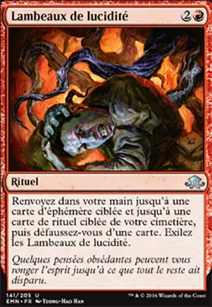 Lambeaux de lucidité