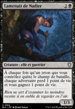 Lamenuit de Nadier