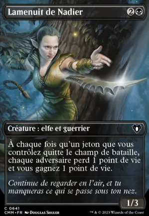 Lamenuit de Nadier